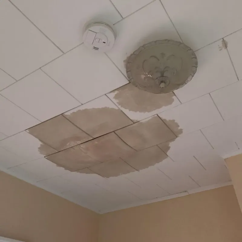 Ceiling Water Damage Repair in Circleville, OH