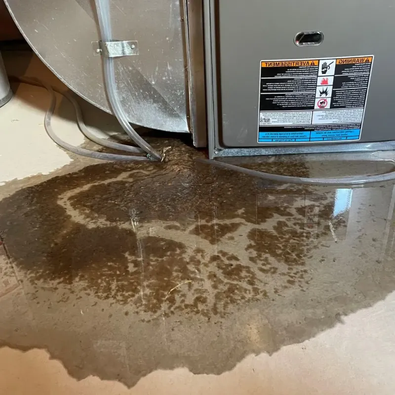 Pipe Burst and Leak Restoration in Circleville, OH