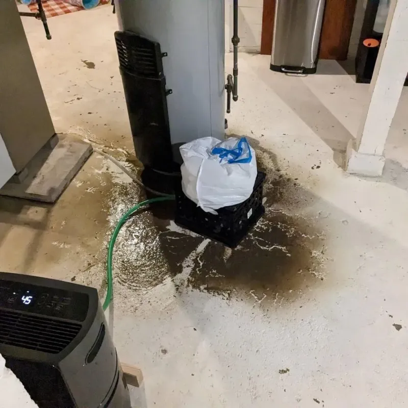 Sewage Backup Cleanup Service in Circleville, OH